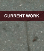 Current Work